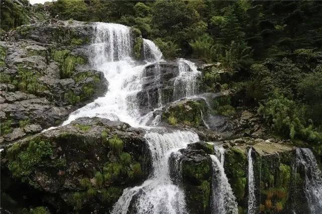 细胞壁是细胞无活性的结构骨架这句话是对是错？如果错，错在哪？游戏画面